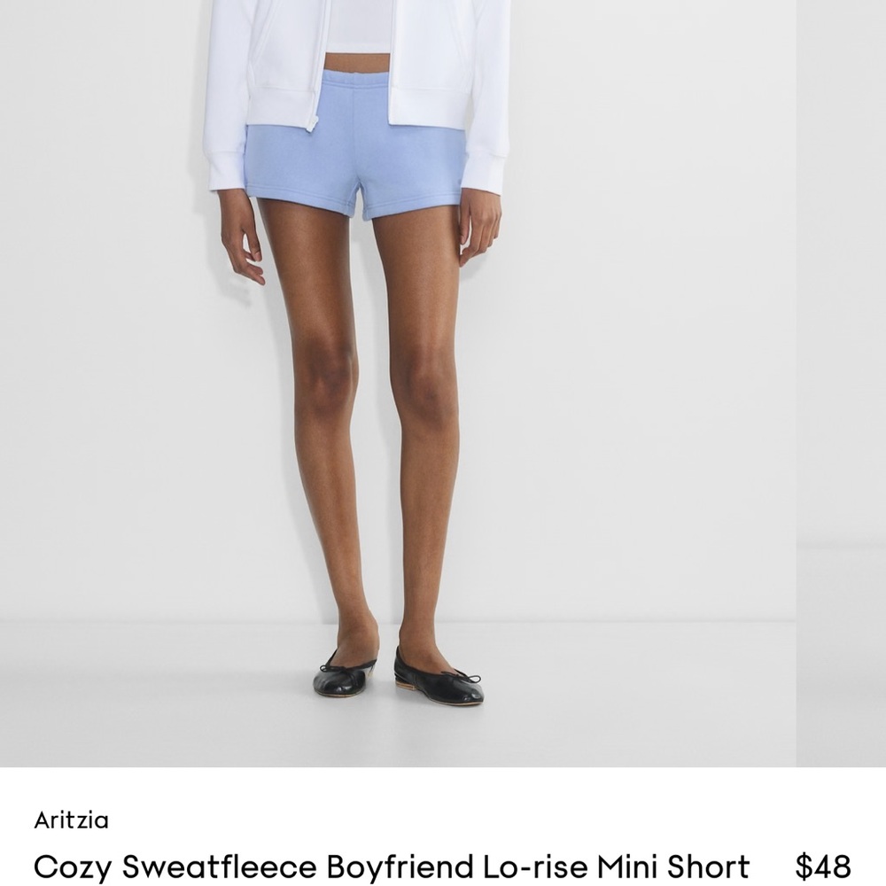 Aritzia Blue Athletic Shorts Relaxed Fit